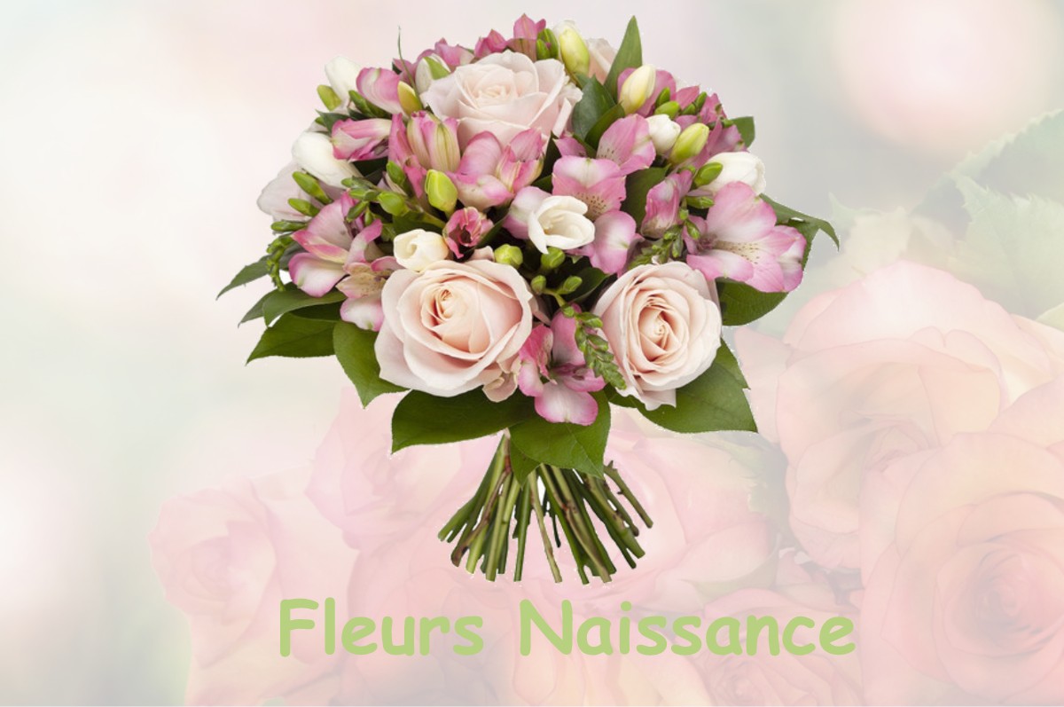 fleurs naissance NOIRON-SUR-BEZE