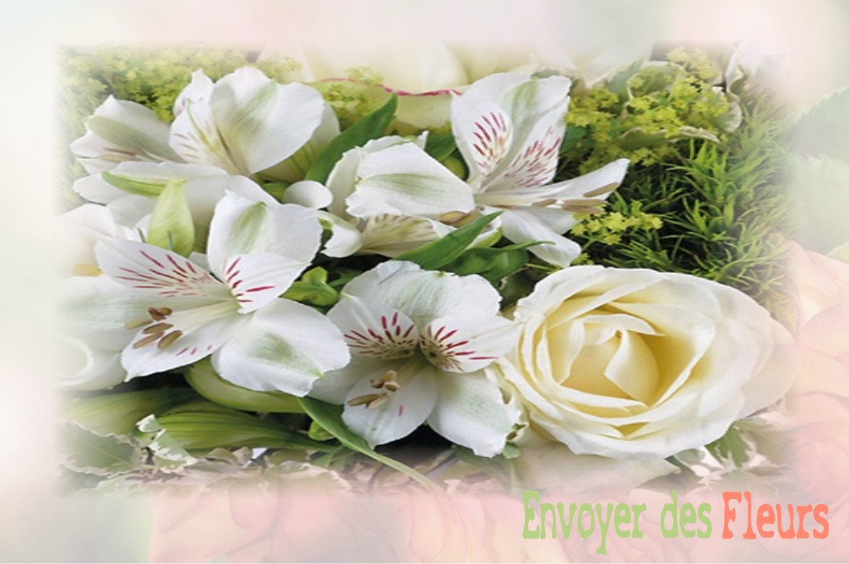 envoyer des fleurs à à NOIRON-SUR-BEZE